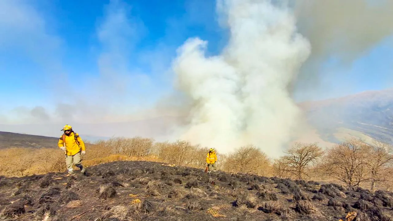 Actualización de incendios forestales en la provincia 2